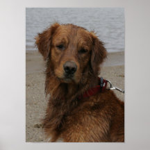 GARÇON D'EAU - RÉCUPÉRATION D'OR