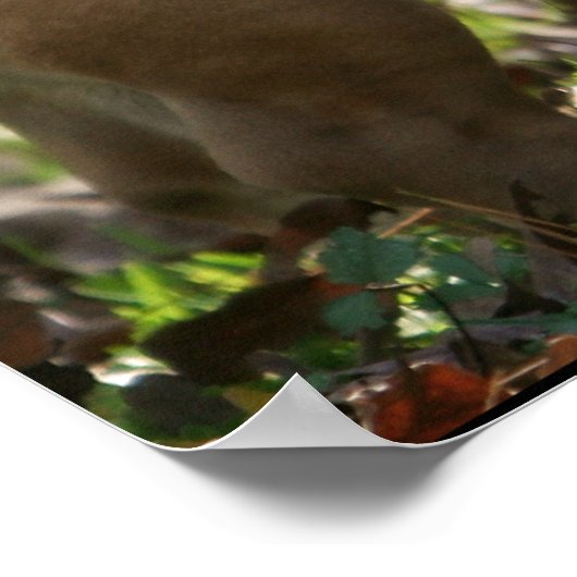 Poster Garçon nommé Sue (Coin)