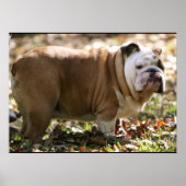 Poster Garçon nommé Sue (Devant)