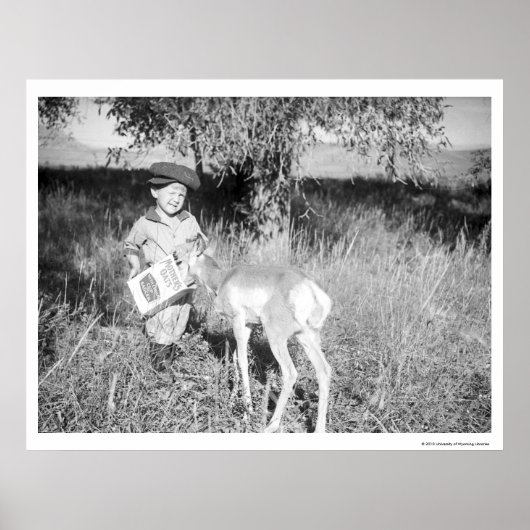 Poster Garçon nourrissant l'antilope à la main (Devant)
