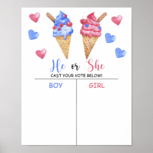 Poster Garçon ou fille que nous connaissons le sexe révél