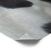 Poster Garçons tziganes (Coin)