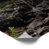 Poster Garde côtière Aigle coupe et lumière de tête Portl (Coin)