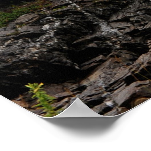 Poster Garde côtière Aigle coupe et lumière de tête Portl (Coin)