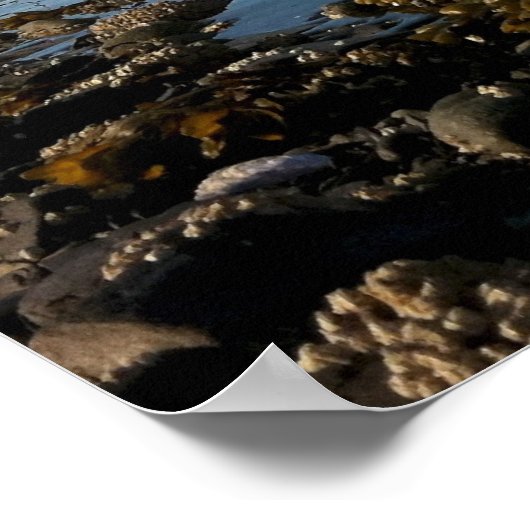 Poster Garde côtière Cutter Morgenthau (Coin)