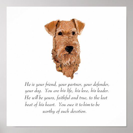 Poster Garde de Irish Terrier - Mâle (Devant)
