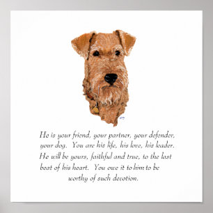 Poster Garde de Terrier Irlandais - Mâle