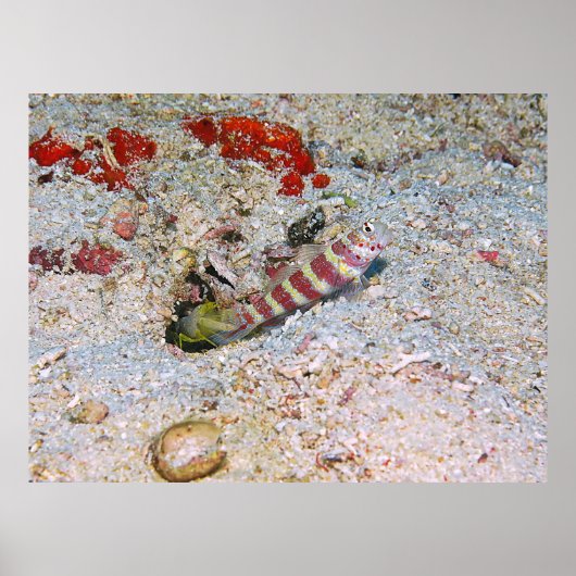 Poster Garde permanente (Devant)