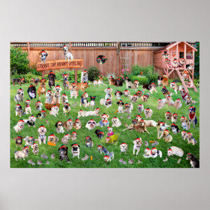 Poster Garde supérieure 2015 de lapin de carotte