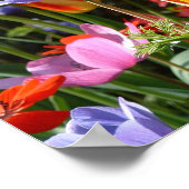 Poster Garden beauty (Coin)