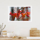 Poster Garden beauty (Cuisine)