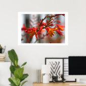 Poster Garden beauty (Bureau à domicile)