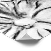 Poster Garden Cat (Coin)