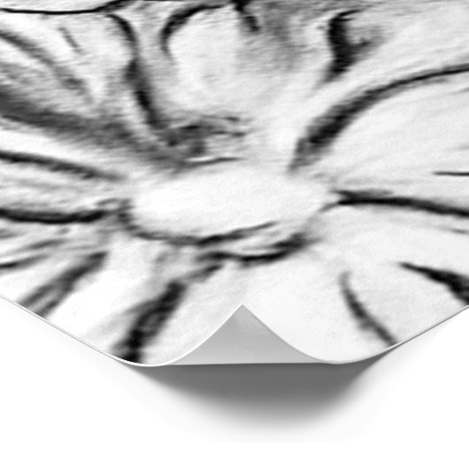 Poster Garden Cat (Coin)