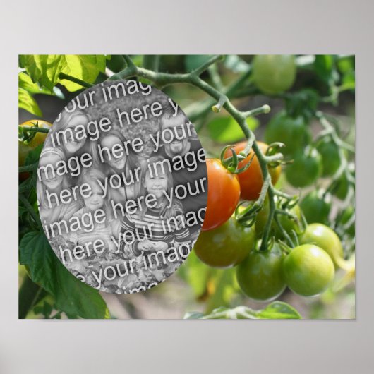 Poster Garden Cherry Tomates Ajouter Votre Photo (Devant)
