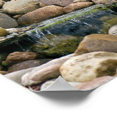 Poster Garden Falls (Coin)