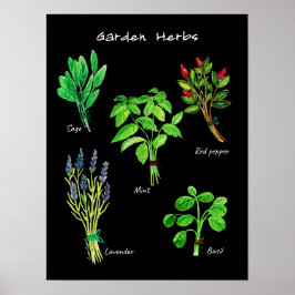 POSTER GARDEN HERBS