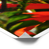 Poster Garden Jewel: Hummingbird in Bloom (Coin)