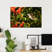 Poster Garden Jewel: Hummingbird in Bloom (Bureau à domicile)