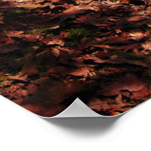 Poster Garden of good and evil...I walk the line (Coin)