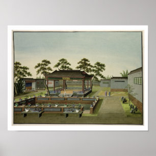 Poster Garden Scene, c.1820-40 (w/c on paper) 4