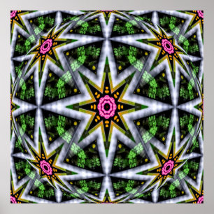 Poster Garden Star Ball...