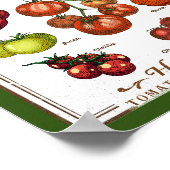 Poster Gardener de tomates, jardinage de tomates végétale (Coin)