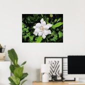 Poster Gardenia, (Bureau à domicile)