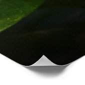 Poster Gardenia, (Coin)