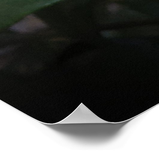 Poster Gardenia, (Coin)