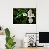 Poster Gardenia, (Bureau à domicile)