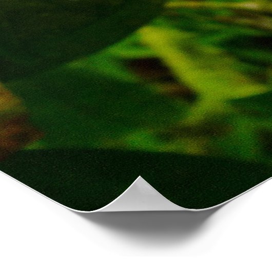 Poster Gardenia hawaïenne (Coin)