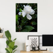 Poster Gardenia hawaïenne (Bureau à domicile)
