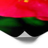 Poster Gardenia Love (Coin)