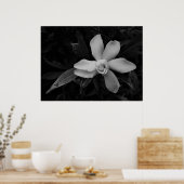 Poster Gardenia - noir (Cuisine)