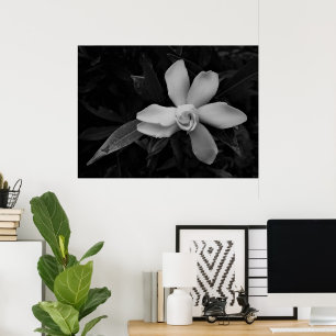 Poster Gardenia - noir