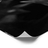 Poster Gardenia - Noir, (Coin)