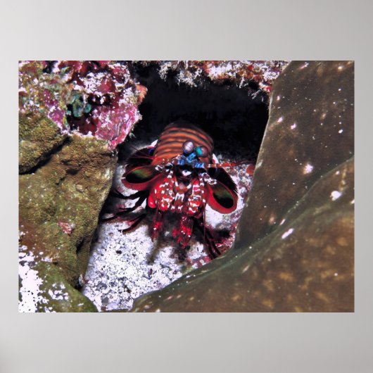 Poster Garder l'entrée (Devant)