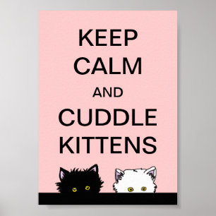 Poster Garder les chatons calmes