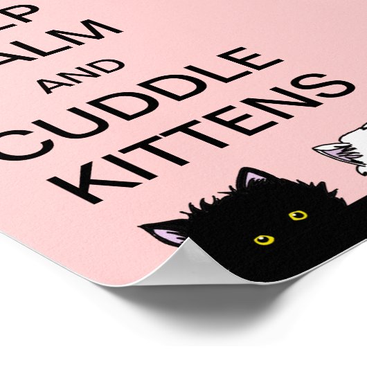 Poster Garder les chatons calmes (Coin)