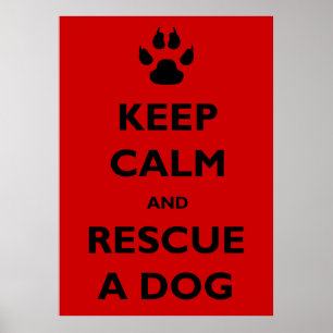 Poster Gardez la délivrance calme de chien