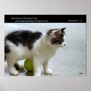 Poster Gardez-vous copie de beaux-arts (de chat)
