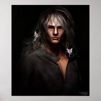 Poster Gardien de Fae