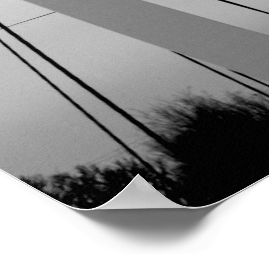 Poster Gardien des plaines (Coin)