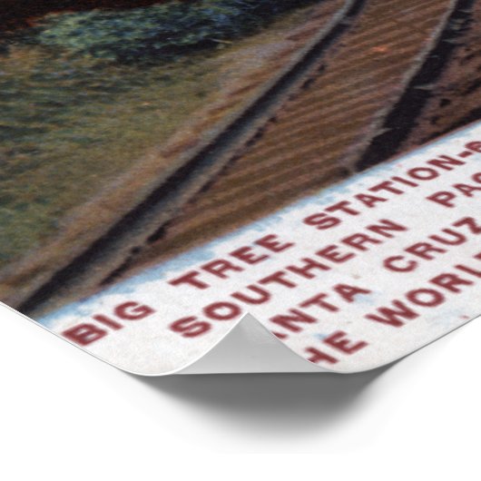 Poster Gare de Big Tree (Coin)