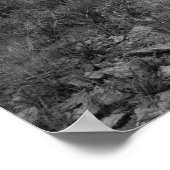 Poster Gare de Curtis Island (Coin)