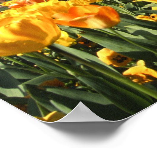 Poster Gare de Dunedin (Coin)