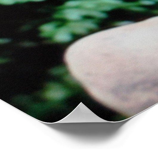 Poster Gargoyle in Garden (Coin)