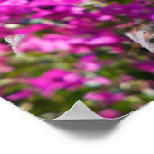 Poster Gargoyle japonais (Coin)