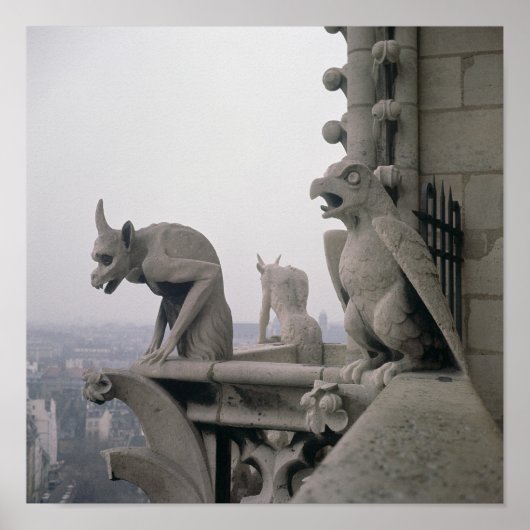 Poster Gargoyles sur la balustrade de la Grande (Devant)